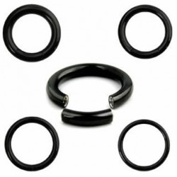 PVD Black Anodized Surgical Steel Segment Rings